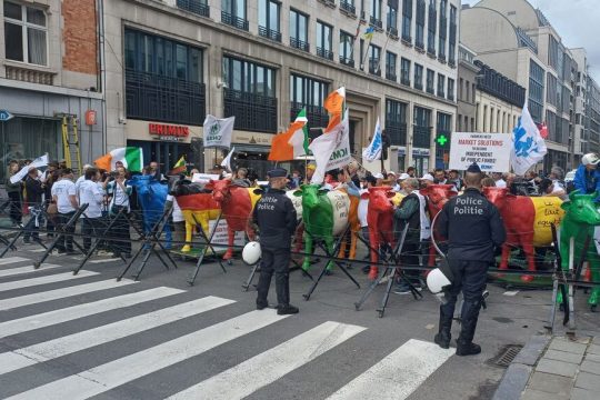 agrotes europe